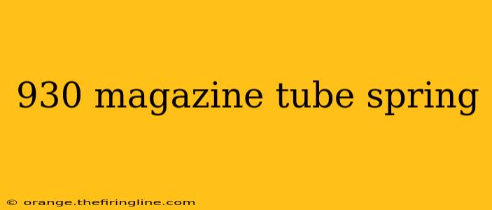 930 magazine tube spring