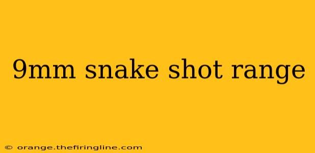 9mm snake shot range