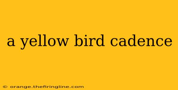 a yellow bird cadence