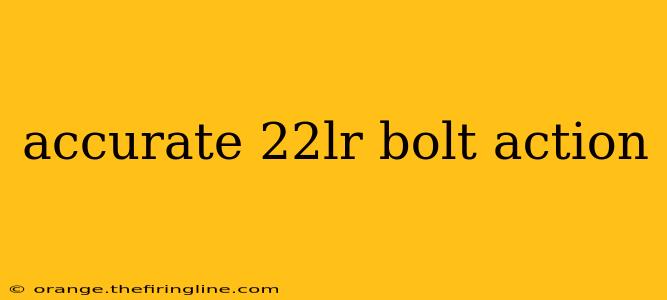 accurate 22lr bolt action