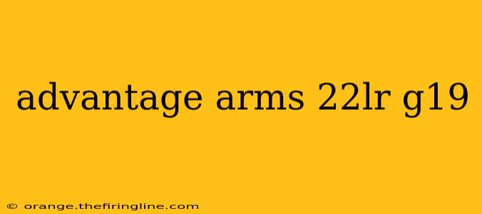 advantage arms 22lr g19