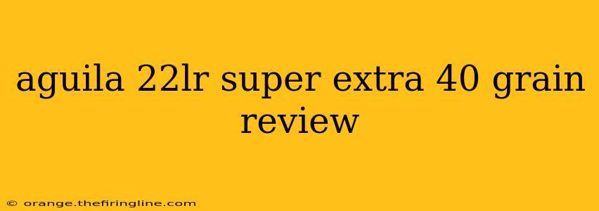 aguila 22lr super extra 40 grain review