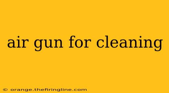 air gun for cleaning