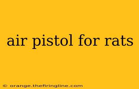 air pistol for rats