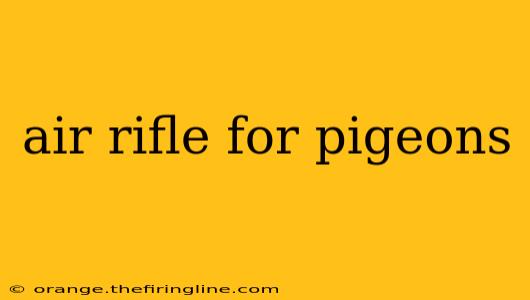 air rifle for pigeons