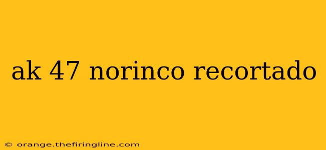 ak 47 norinco recortado