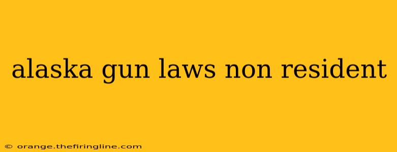 alaska gun laws non resident