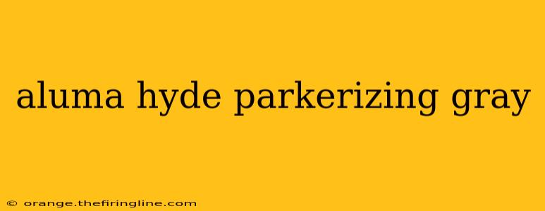 aluma hyde parkerizing gray