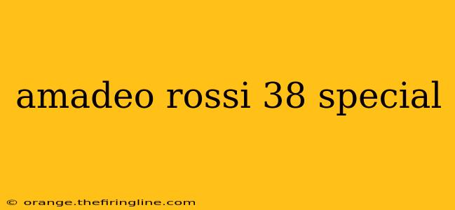 amadeo rossi 38 special