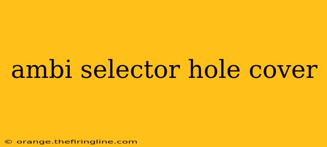 ambi selector hole cover