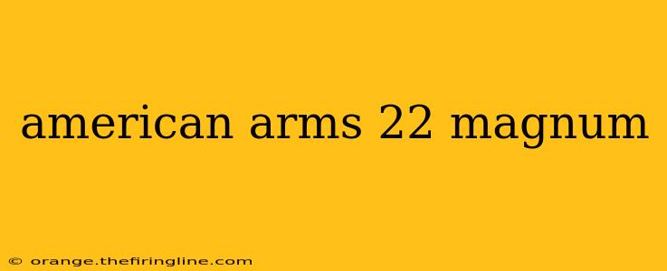 american arms 22 magnum