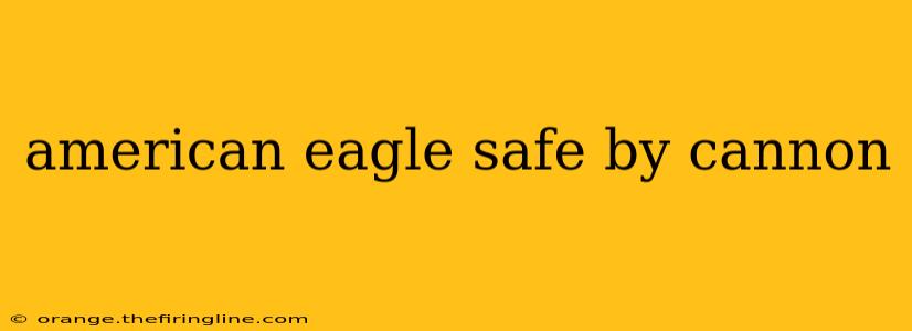 american eagle safe by cannon