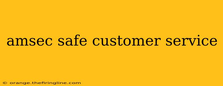 amsec safe customer service