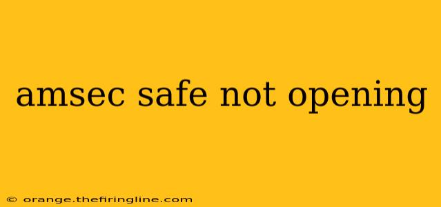 amsec safe not opening