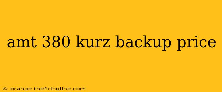 amt 380 kurz backup price