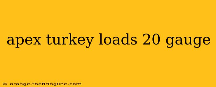 apex turkey loads 20 gauge