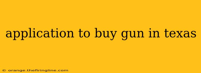 application to buy gun in texas