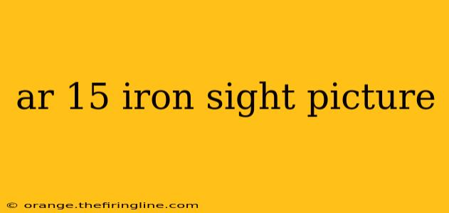 ar 15 iron sight picture