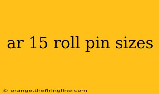 ar 15 roll pin sizes