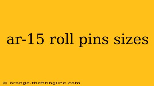 ar-15 roll pins sizes