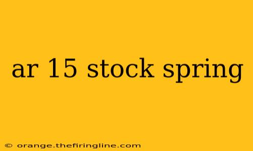 ar 15 stock spring