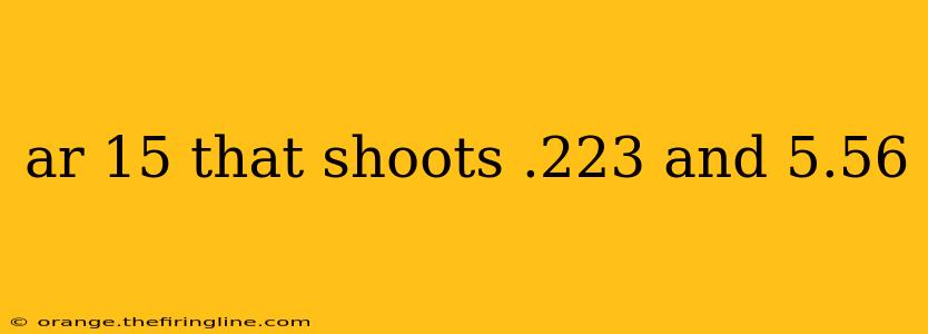 ar 15 that shoots .223 and 5.56