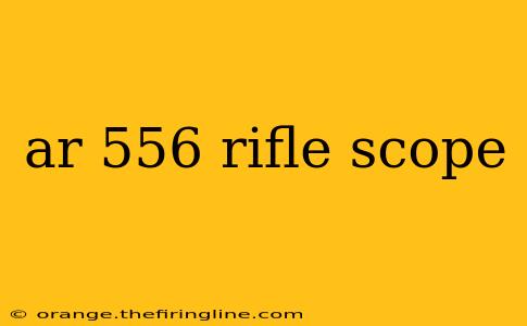 ar 556 rifle scope