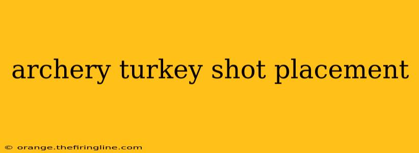 archery turkey shot placement