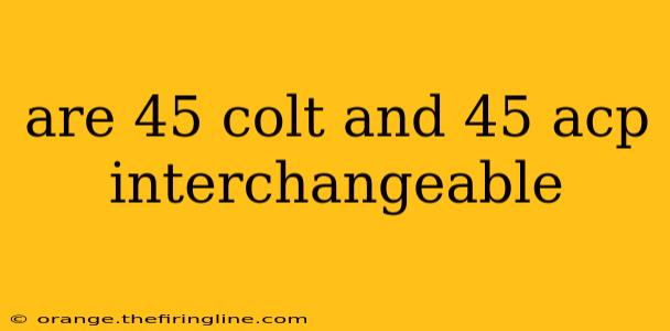 are 45 colt and 45 acp interchangeable