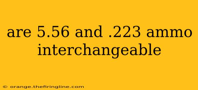 are 5.56 and .223 ammo interchangeable