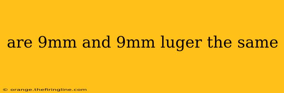 are 9mm and 9mm luger the same