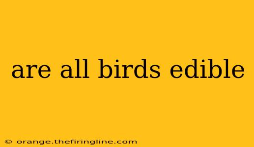 are all birds edible