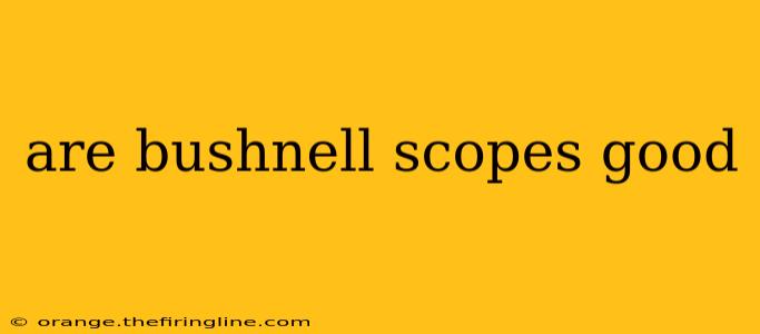 are bushnell scopes good