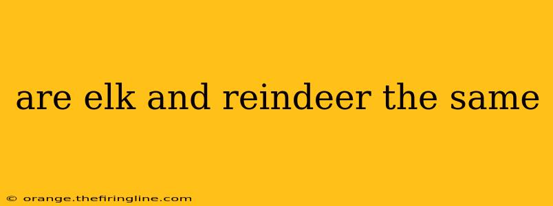 are elk and reindeer the same