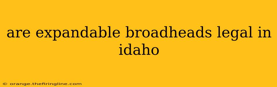 are expandable broadheads legal in idaho