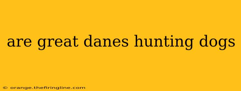 are great danes hunting dogs