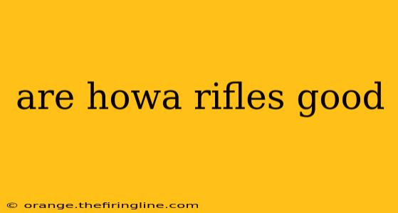 are howa rifles good