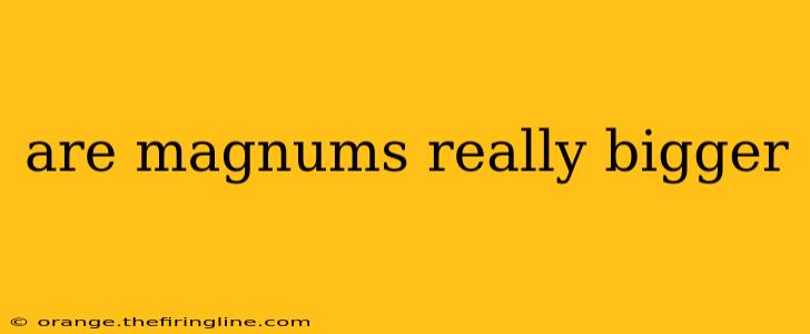 are magnums really bigger