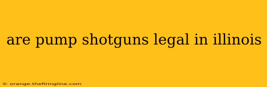 are pump shotguns legal in illinois