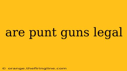 are punt guns legal