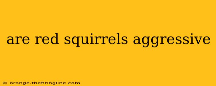 are red squirrels aggressive