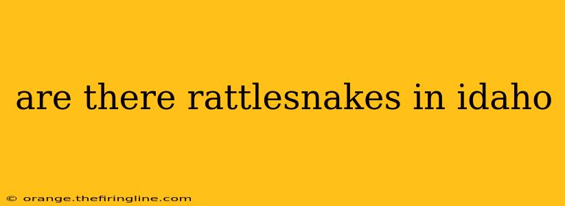 are there rattlesnakes in idaho