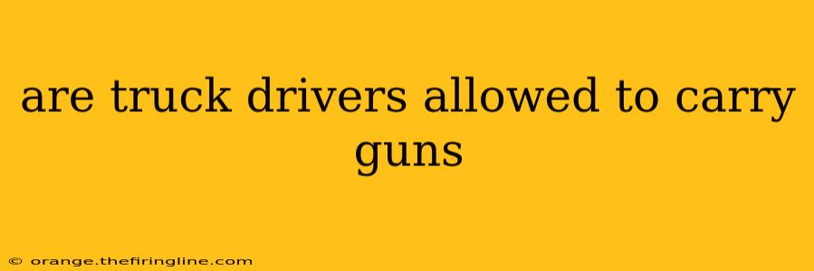 are truck drivers allowed to carry guns