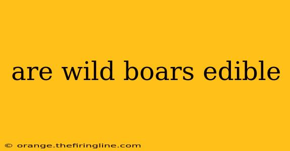 are wild boars edible