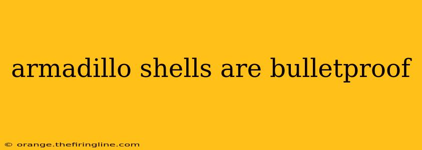 armadillo shells are bulletproof