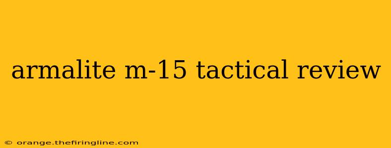 armalite m-15 tactical review