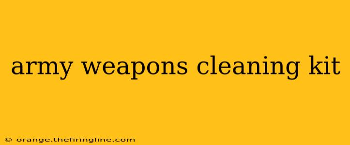 army weapons cleaning kit