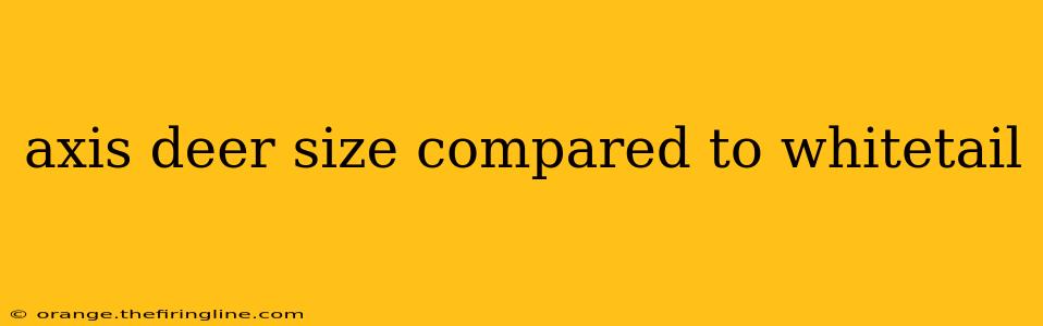 axis deer size compared to whitetail