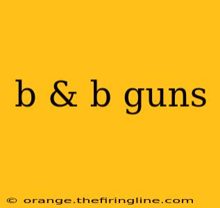 b & b guns