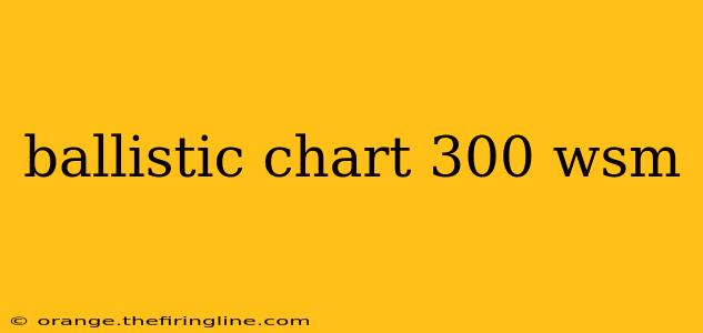 ballistic chart 300 wsm